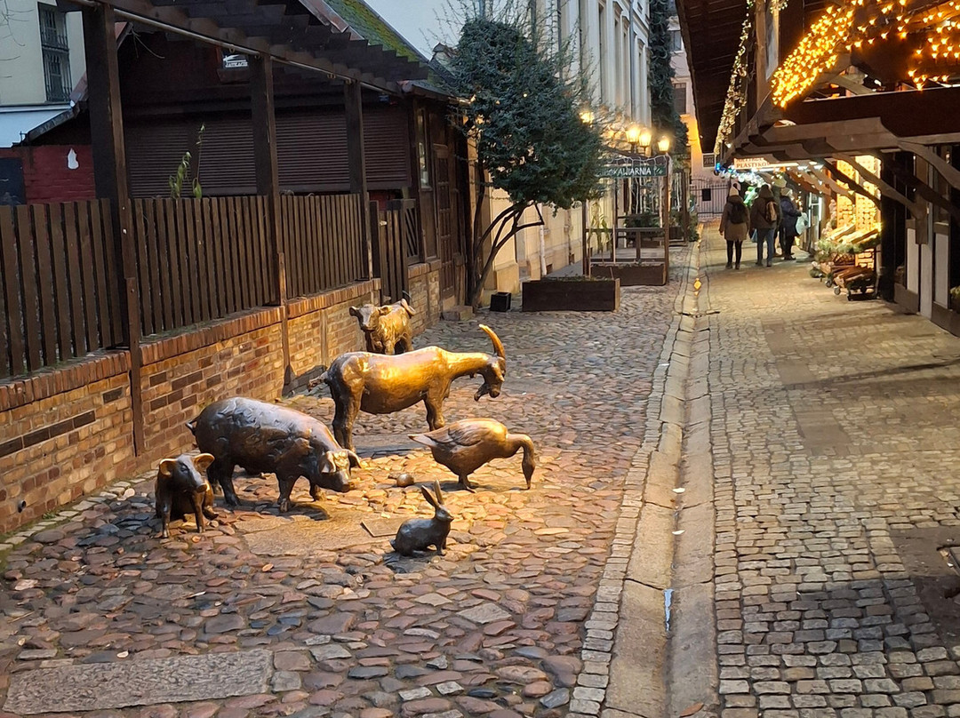 Jatki-弗罗茨瓦夫必去景点