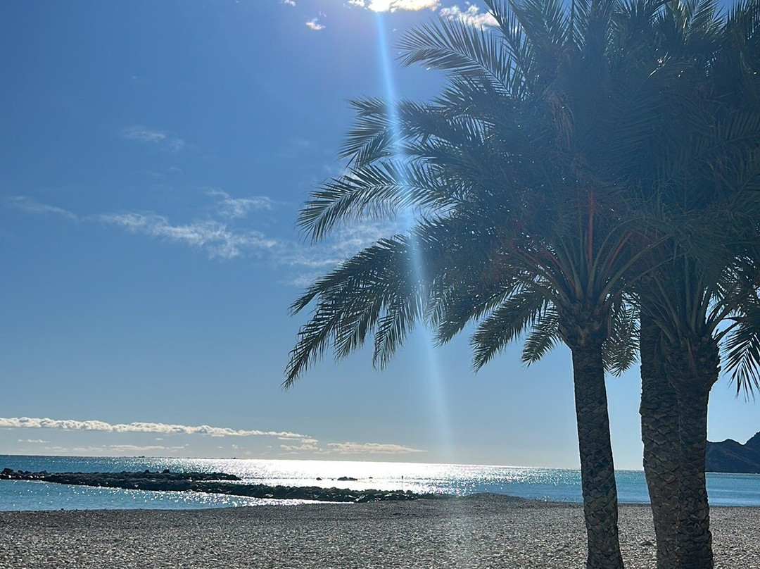 Altea Beach-阿尔特阿必去景点