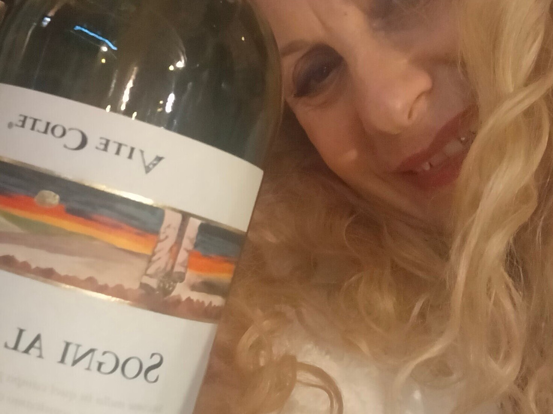 宁齐尼艾尔伯格别墅酒店主图