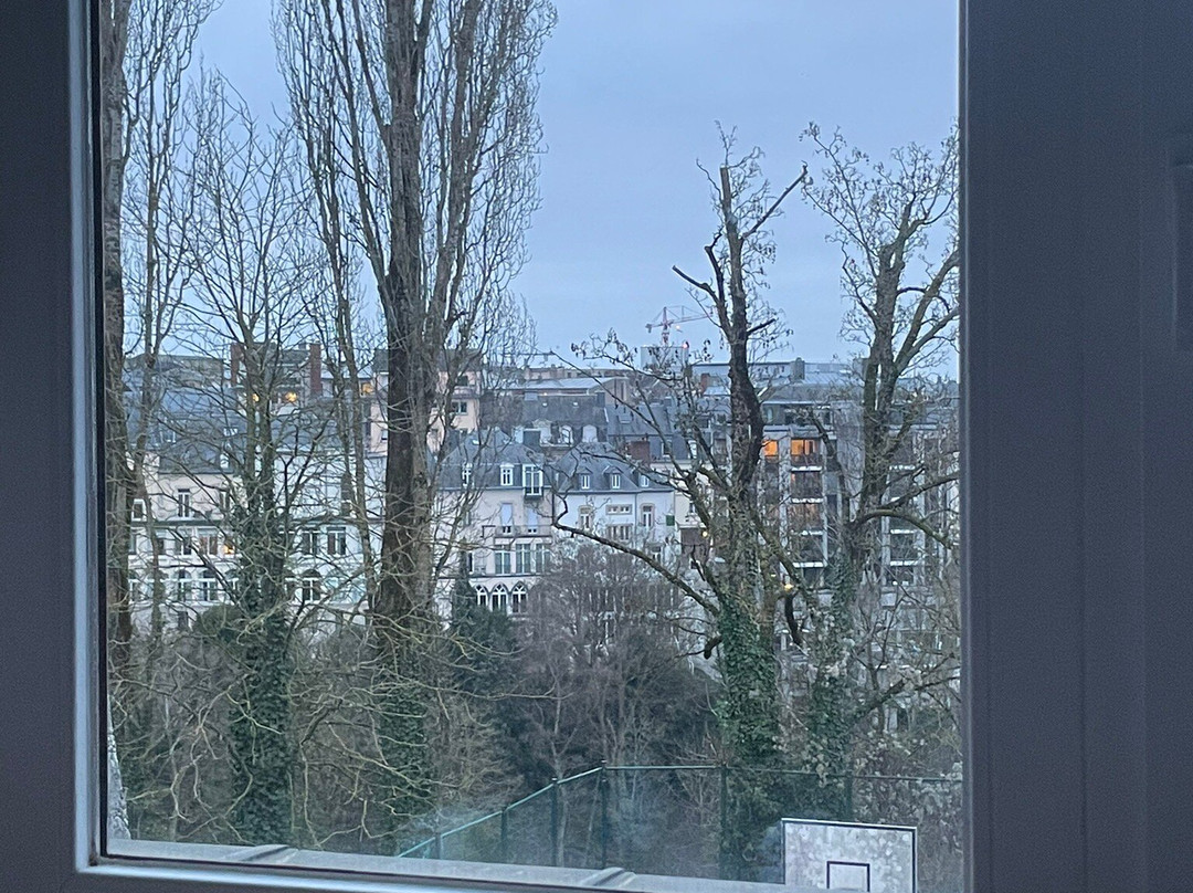 卢森堡高瑞斯集团主图