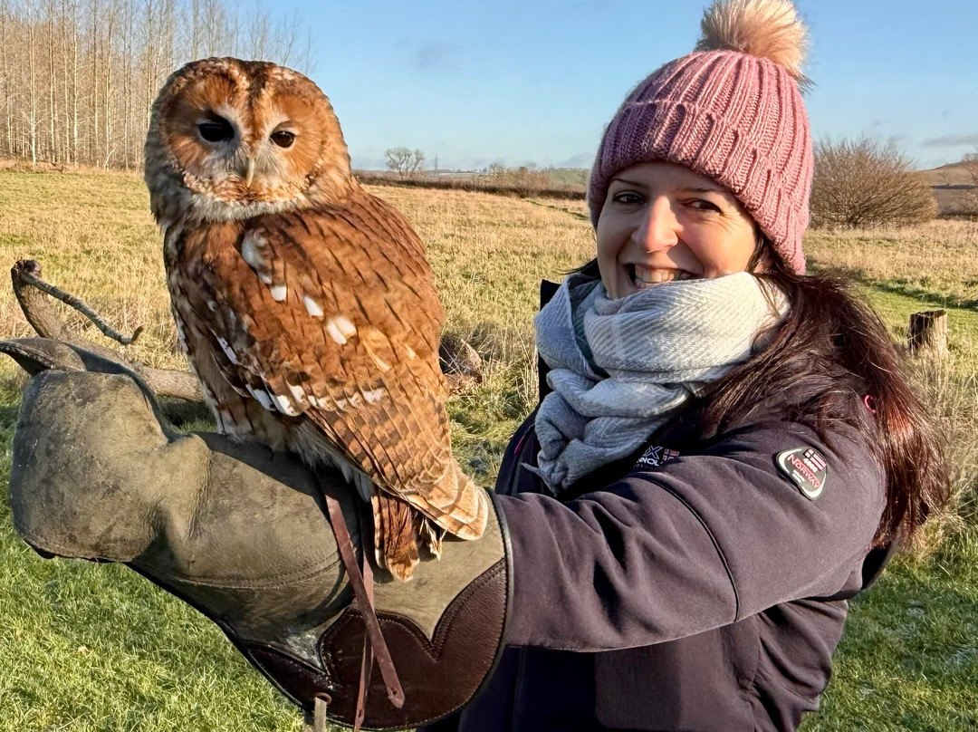 Bird on the Hand Falconry Experiences-Church Langton必去景点