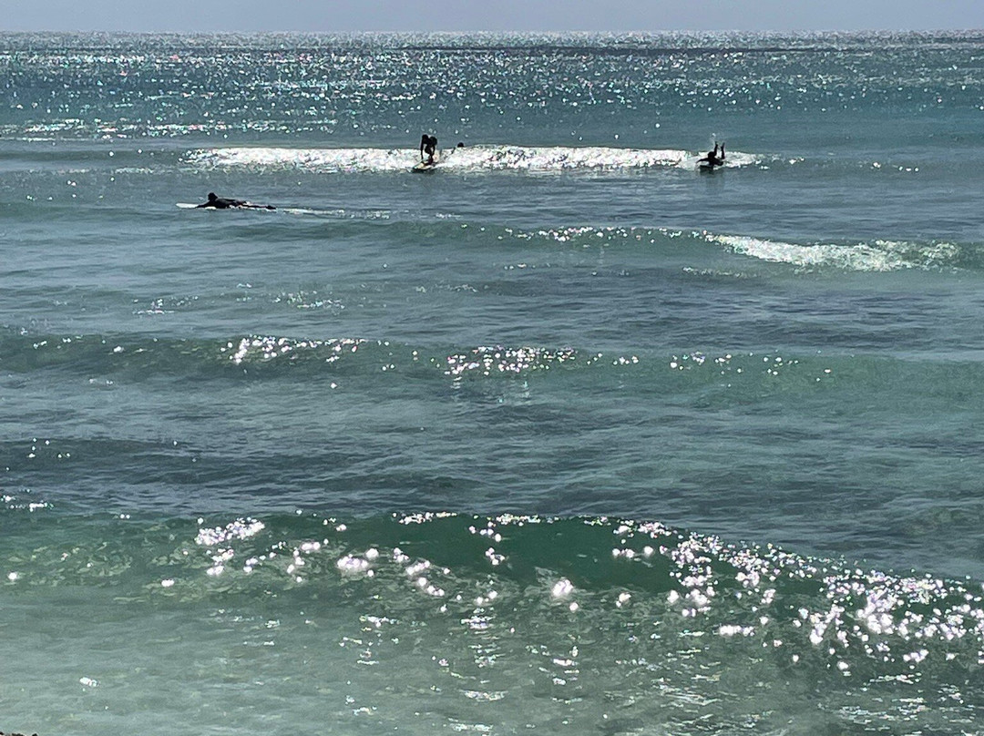 Freights bay surf school-Enterprise必去景点
