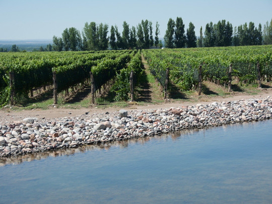 Adora Mendoza-门多萨必去景点