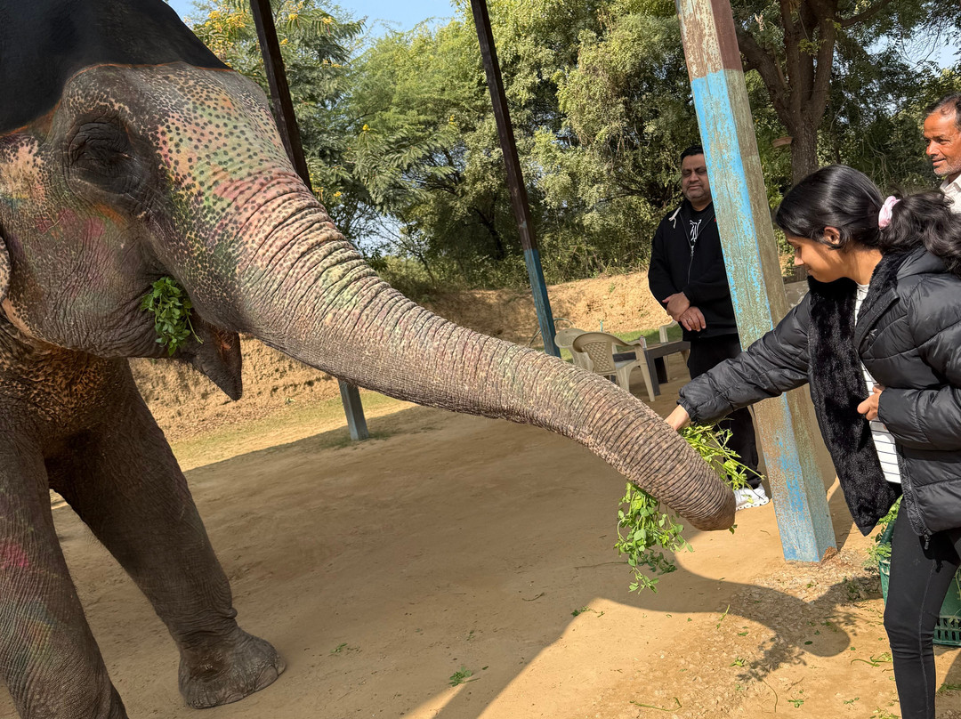 Elefun-斋蒲尔必去景点