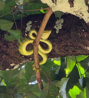 Explore Sumatra Wonder-武吉拉旺必去景点