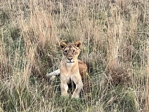 Asante Tour Safaris & Travel-坎帕拉必去景点