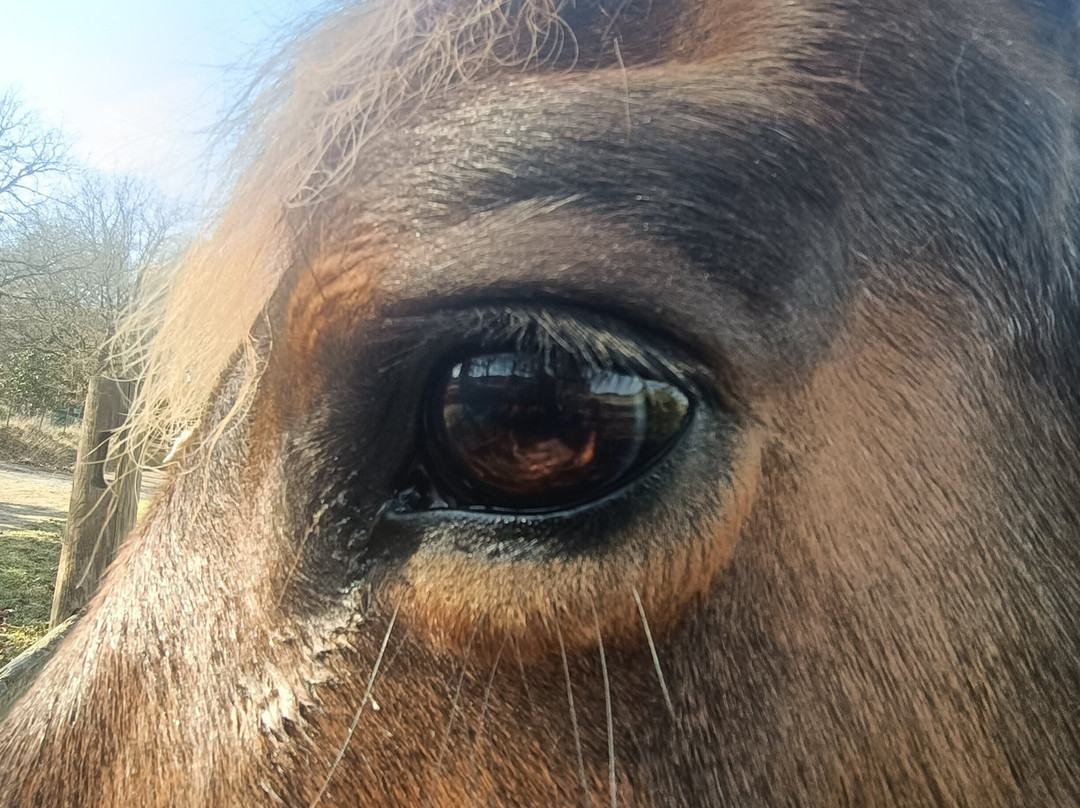 Paradiso Del Cavallo-Bagnaia必去景点