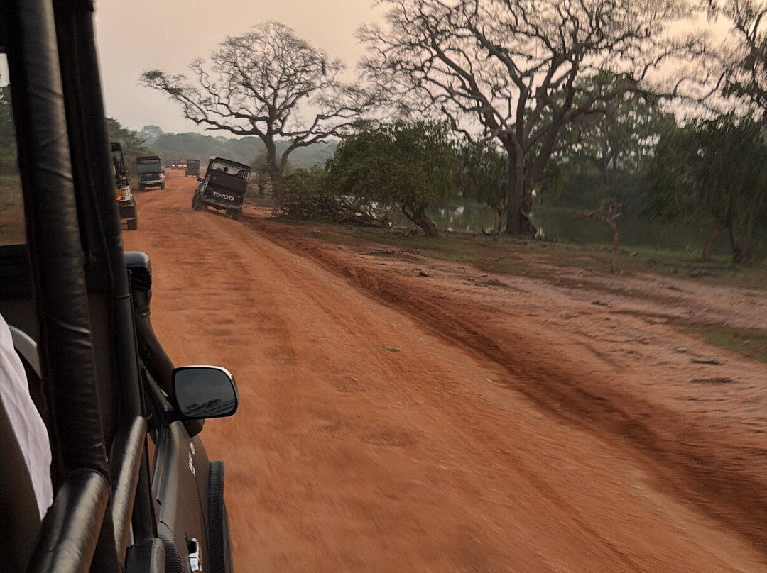 Safari Booking Sri Lanka-Hingurakgoda必去景点