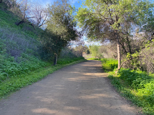 Carbon Canyon Nature Trail-Brea必去景点