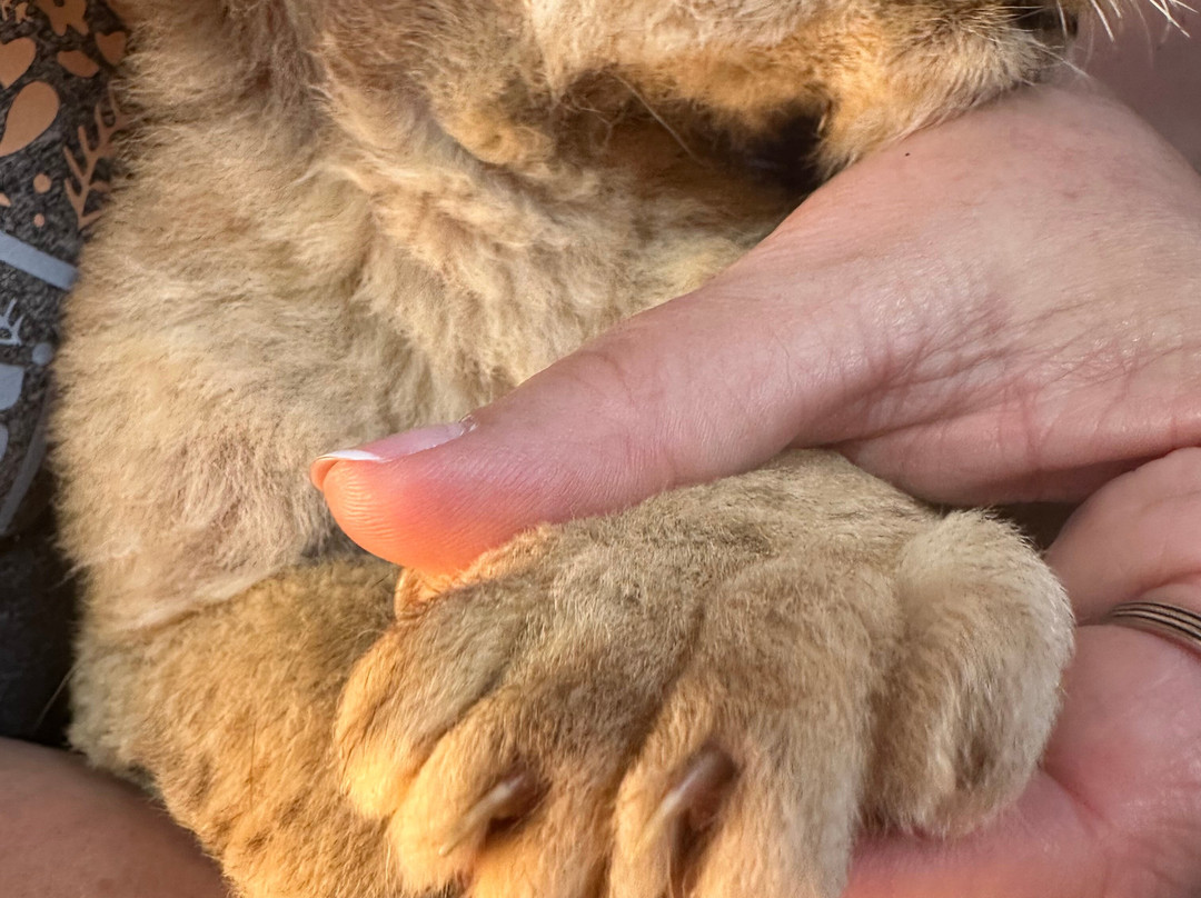 Pai Pai Ecotourism Park-恩塞纳达必去景点