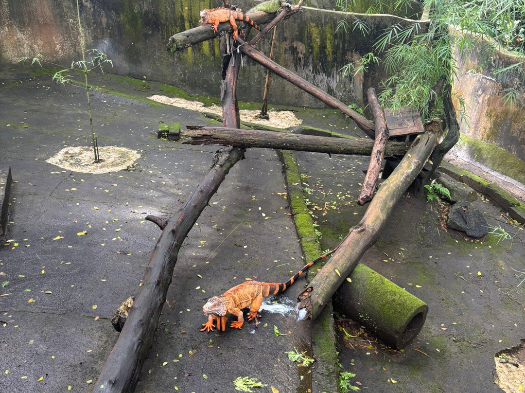 Iskandar Lombok Driver-Senggigi必去景点
