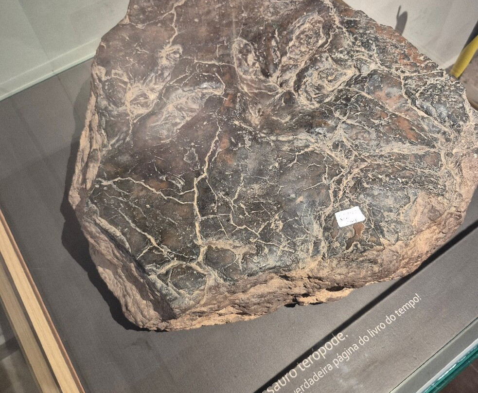 Valley of the Dinosaurs-Sousa必去景点