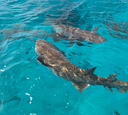 GX Tours Maldives-Bodufolhudhoo必去景点