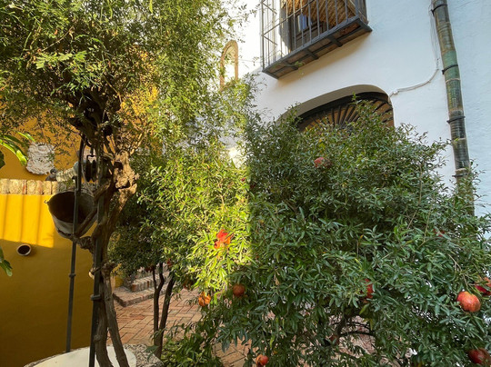 Museo de Artes y Costumbres Populares-马拉加必去景点