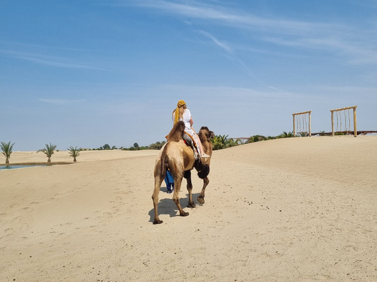 Dromedarius-伊卡必去景点