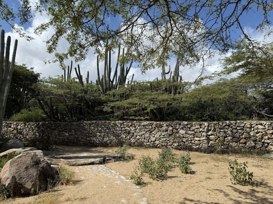 Sonny Tours Aruba-Pos Chiquito必去景点