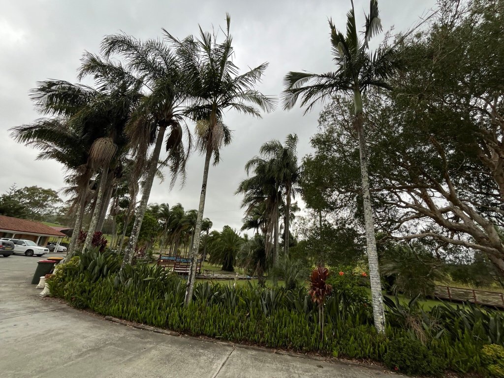 Palms Oasis Motel-官方