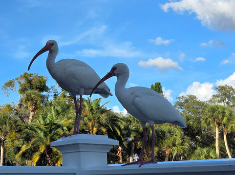 Sims Park-新里奇港必去景点