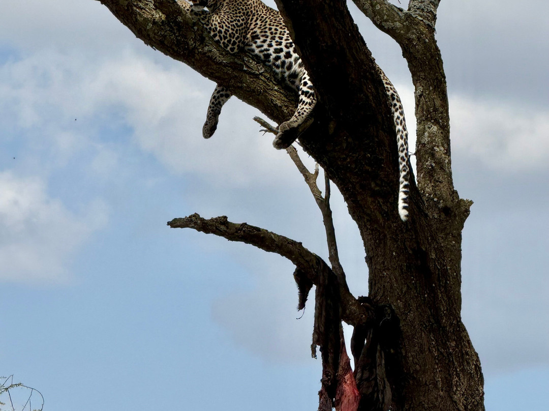iTravel Safari & Expeditions-阿鲁沙必去景点