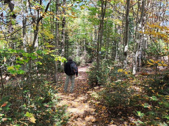 Sentiers du Moulin-Lac-Beauport必去景点