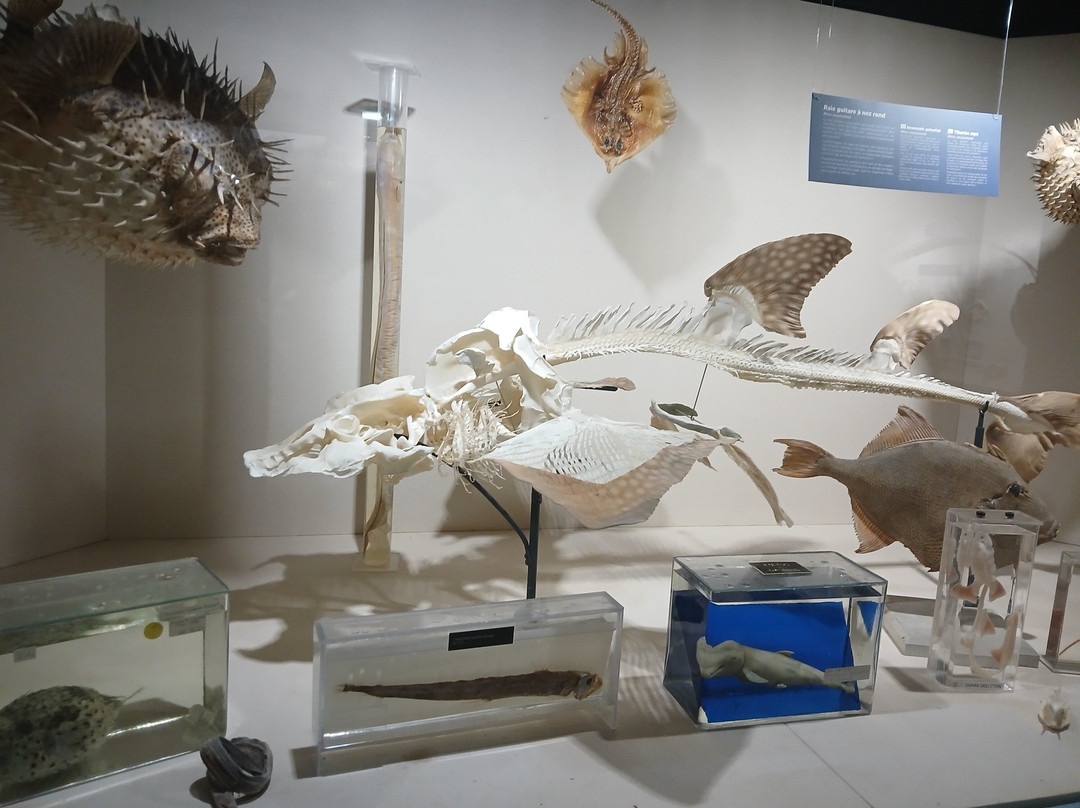 Aquarium de Biarritz-比亚里茨必去景点