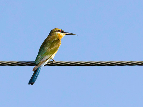The Indian Journeys-金奈（马德拉斯）必去景点