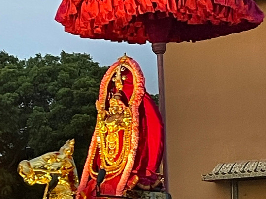 Nallur Kandaswamy Temple-贾夫纳必去景点