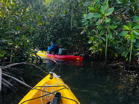 Sea Kayak Adventures-毛里求斯必去景点