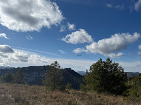 Parque Natural del Carrascal de la Font Roja-Alcoy必去景点