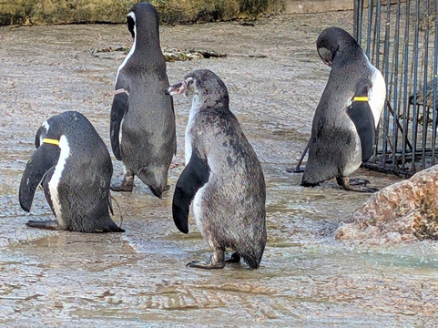 鸟园-水上伯顿必去景点