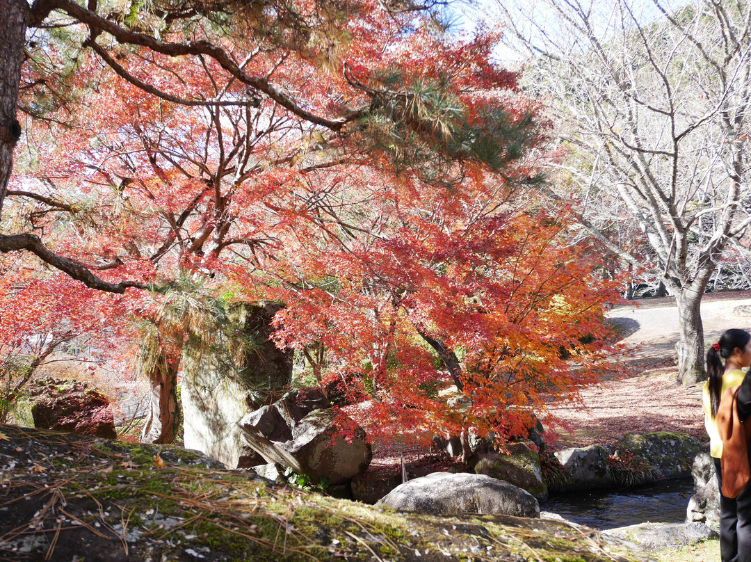 Yabakei Dam Memorial Park Keisekien-中津市必去景点