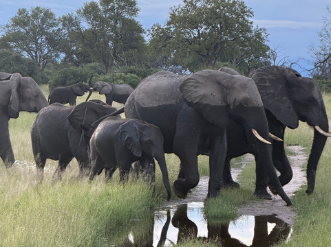 TrueAfrica-阿鲁沙必去景点