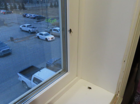 德雷顿谷福克斯伍德套房酒店主图