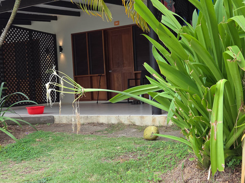 种植园岛度假酒店主图