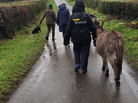 Kinedale Donkeys-Ballynahinch必去景点