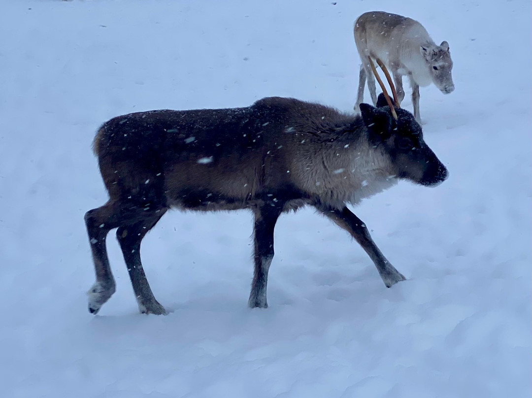 Seven Fells Up-Akaslompolo必去景点