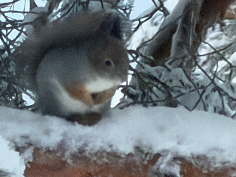 Hotel Ylläsrinne主图