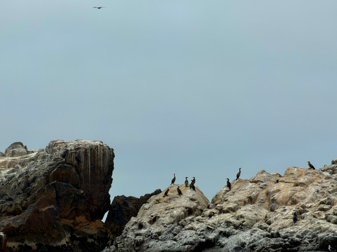 M & A LUX EXPERIENCES-利马必去景点