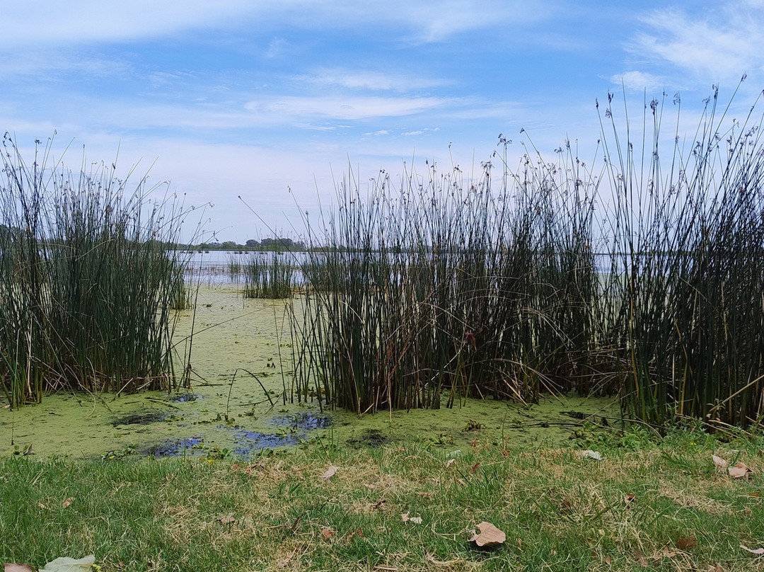 Laguna Navarro-Navarro必去景点
