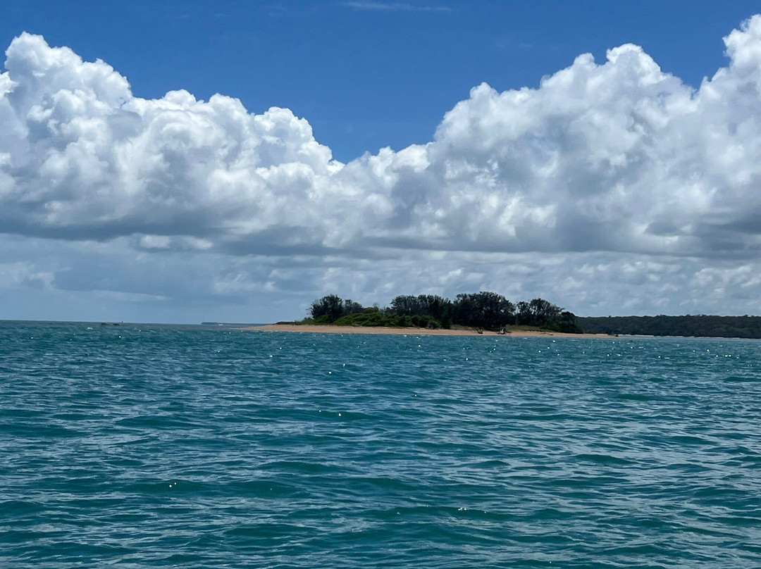 Hervey Bay Eco Marine Tours-赫维湾必去景点