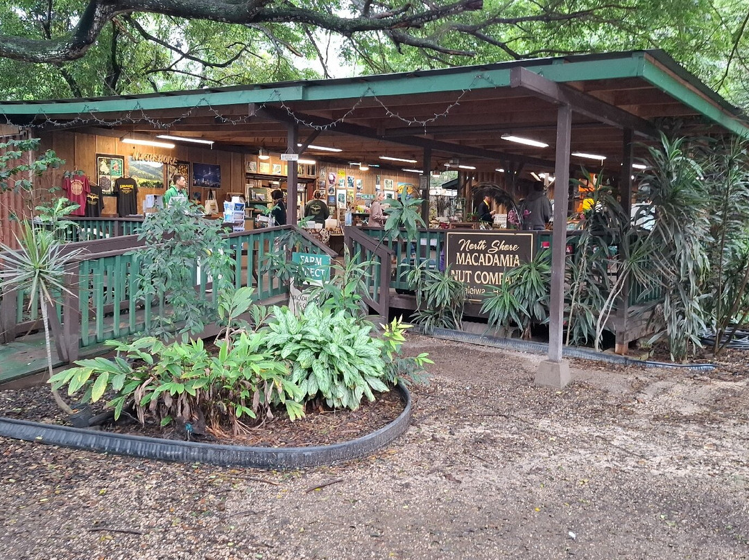 North Shore Macadamia Nut Company-哈雷瓦必去景点