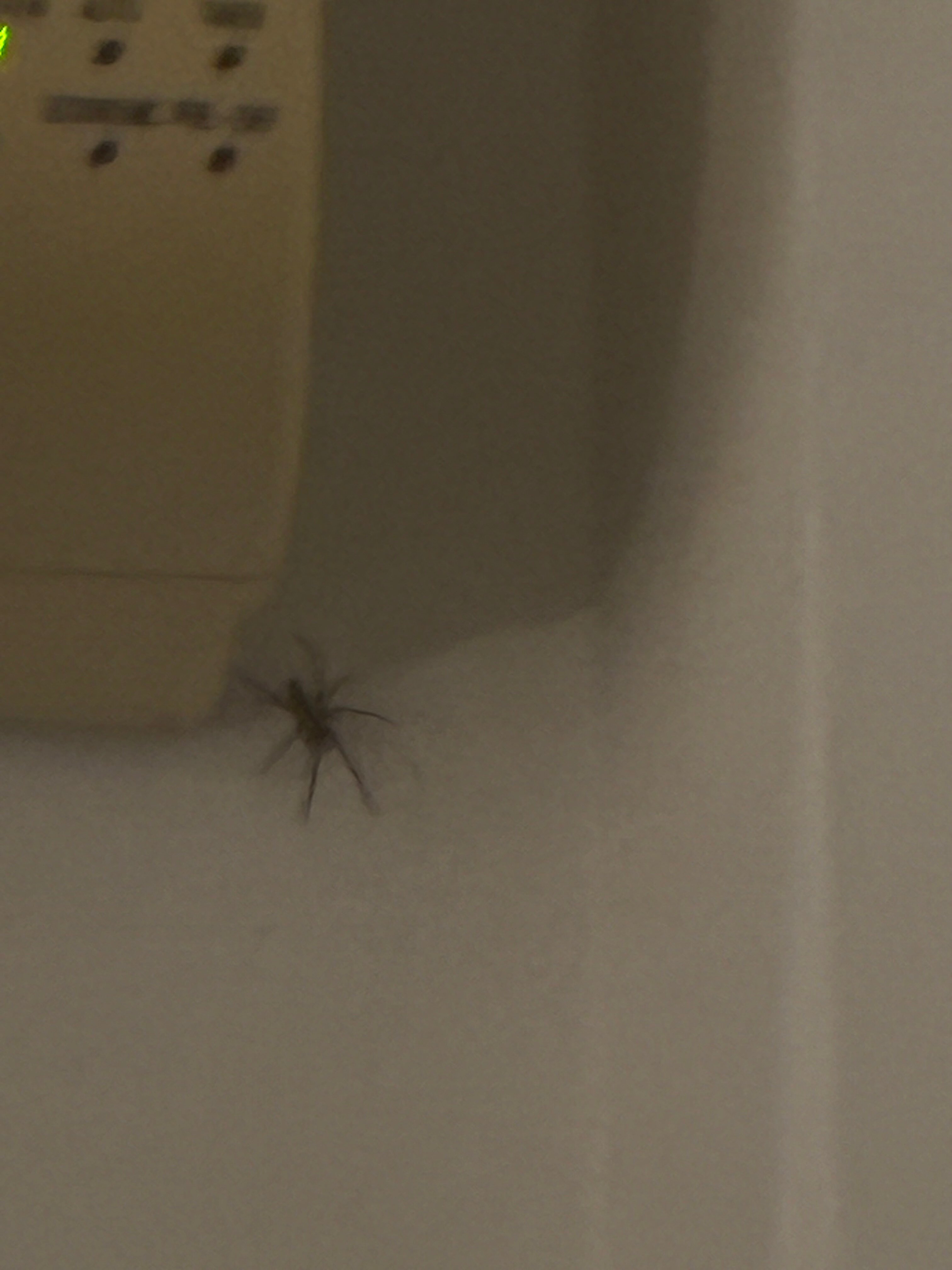 弗赖本托斯格兰酒店-官方