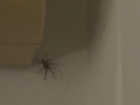 弗赖本托斯格兰酒店主图