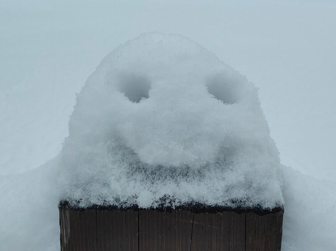 Trakai Island Castle-特拉凯必去景点
