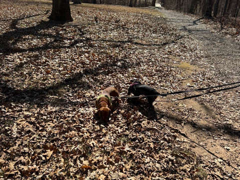 Fort Washita Historic Site-杜兰特必去景点