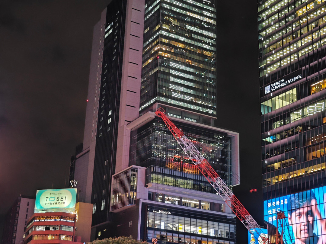 涩谷 Hikarie-涩谷区必去景点