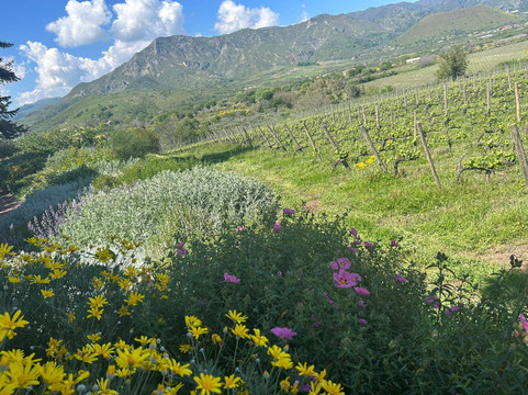 Sicilian Soul-Gaggi必去景点