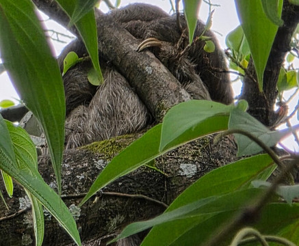 Oropopo Experience-圣何塞必去景点