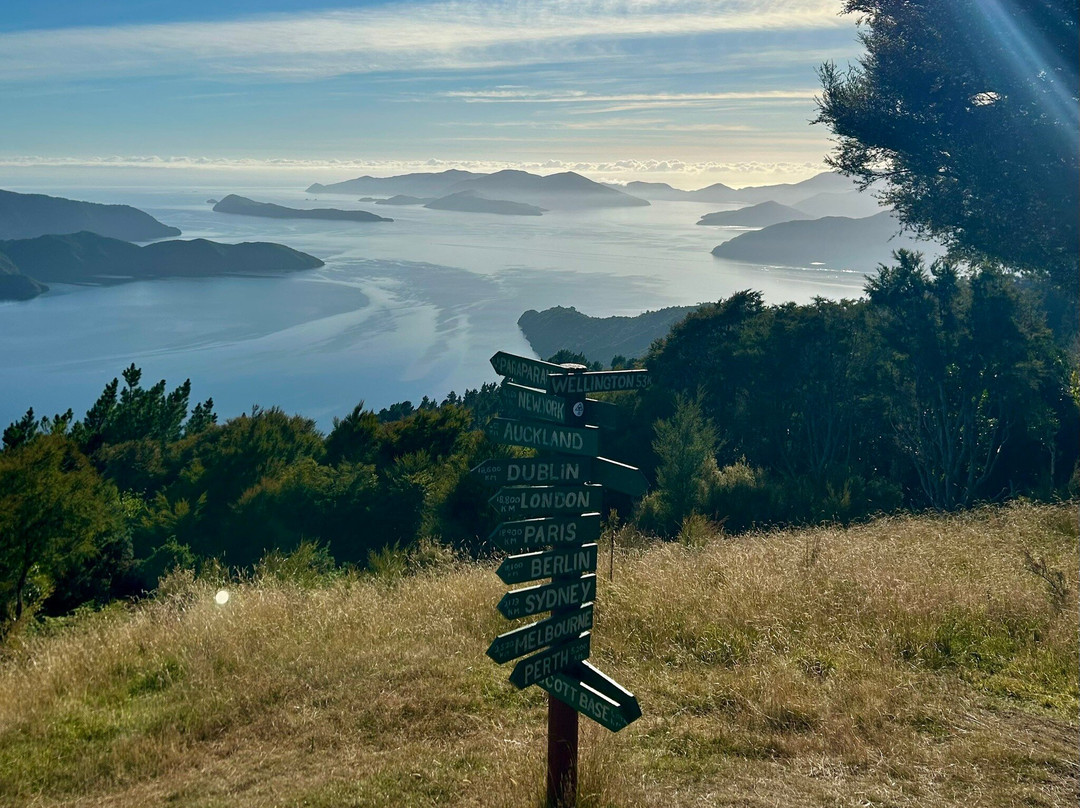 Marlborough Sounds Adventure Company - Day Tours-皮克顿必去景点