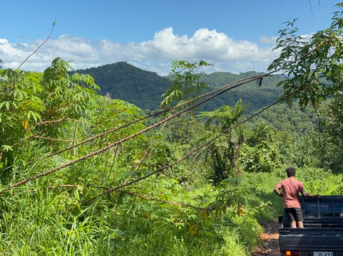Terra Trek Tours-太平洋港必去景点